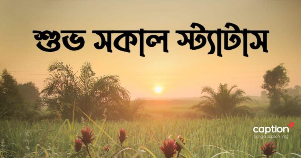 ৫০০+ শুভ সকাল স্ট্যাটাস: শুভ সকাল রোমান্টিক Msg, SMS ২০২৬, অবহেলার কষ্টের স্ট্যাটাস