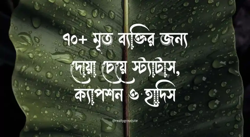 ৭০+ মৃত ব্যক্তির জন্য দোয়া চেয়ে স্ট্যাটাস, ক্যাপশন ও হাদিস, আবেগি কষ্টের স্ট্যাটাস