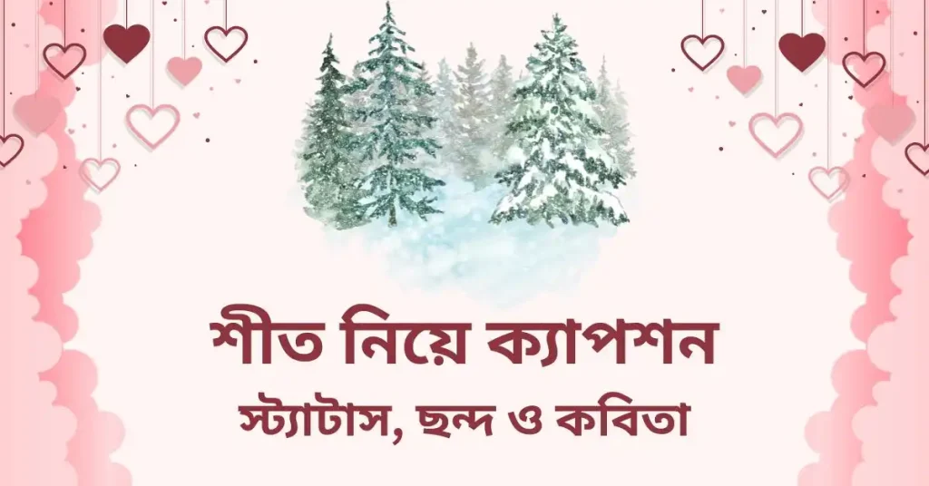 ৯৯+ শীত নিয়ে ক্যাপশন, স্ট্যাটাস, ছন্দ ও কবিতা, মানসিক শান্তি