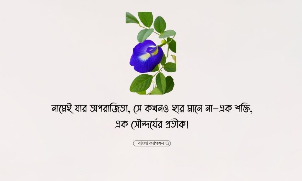 অপরাজিতা ফুল নিয়ে ক্যাপশন, উক্তি ও কবিতা, স্বামীর জন্মদিনের শুভেচ্ছা