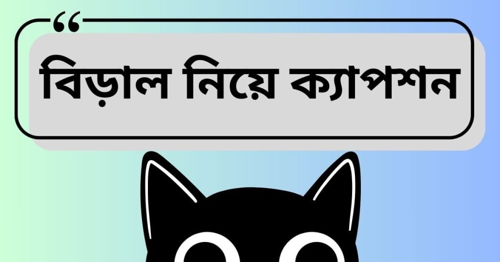 বিড়াল নিয়ে ক্যাপশন: বিড়াল নিয়ে ইসলামের উক্তি ও ক্যাপশন, কষ্টের পিক
