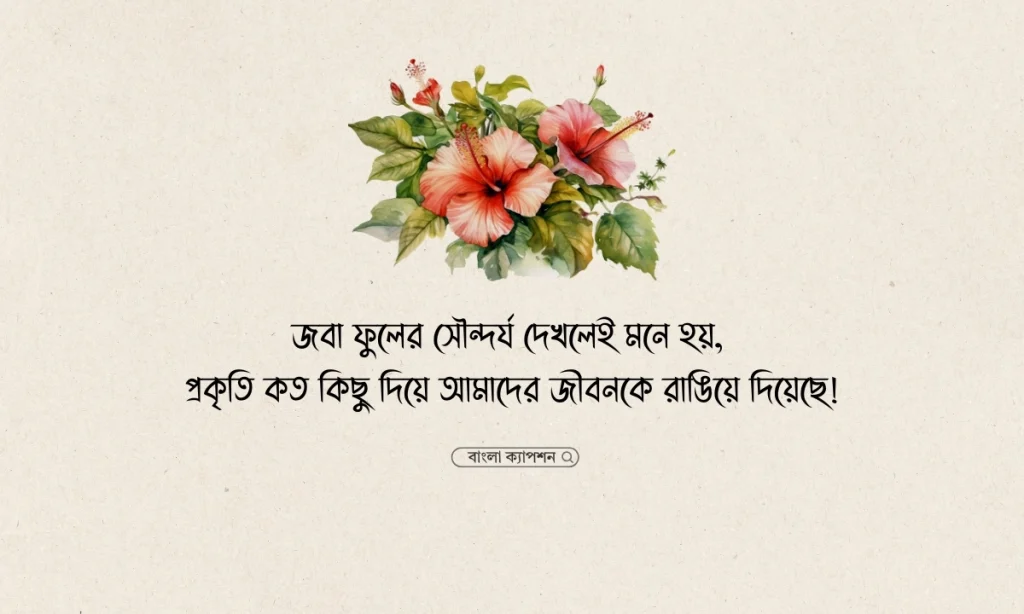 জবা ফুল নিয়ে ক্যাপশন, স্ট্যাটাস, উক্তি ও কবিতা, good morning bengali caption