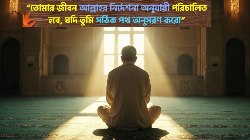জীবন নিয়ে ইসলামিক উক্তি, মেসেজ, স্ট্যাটাস ও ফেসবুক ক্যাপশন, জুম্মা মোবারক স্ট্যাটাস