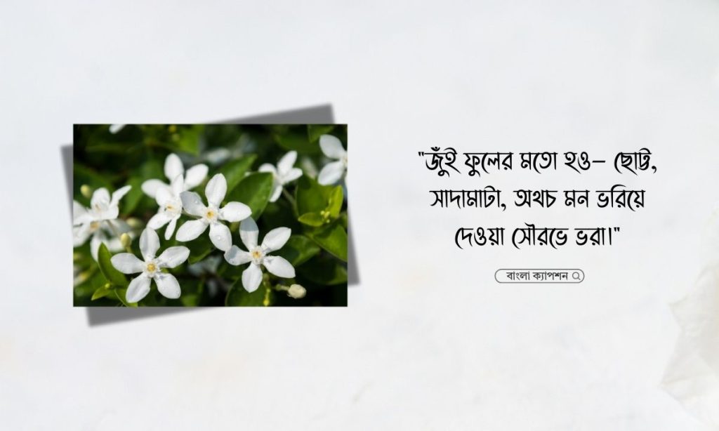 জুঁই ফুল নিয়ে ক্যাপশন ও কবিতা, captions bangla