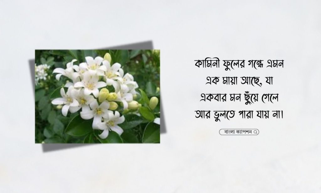 কামিনী ফুল নিয়ে ক্যাপশন, উক্তি ও কবিতা, বিদ্রোহী কবিতার মূলভাব