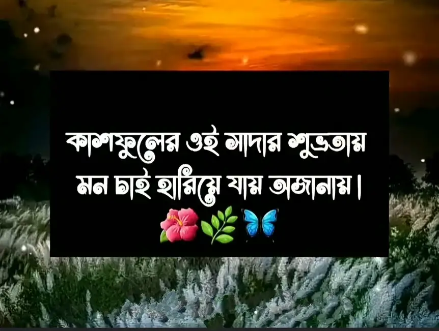 কাশফুল নিয়ে ক্যাপশন | শরতের কাশফুল নিয়ে ক্যাপশন |kashful caption, স্বামী স্ত্রীর ভালোবাসা উক্তি