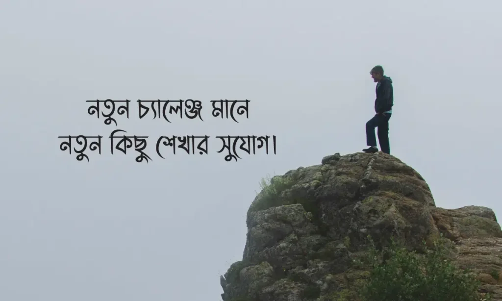 ক্যারিয়ার নিয়ে স্ট্যাটাস : ১৫০+ সেরা উক্তি ও ক্যাপশন কালেকশন (২০২৬ আপডেট), বান্ধবীর জন্মদিনের শুভেচ্ছা স্ট্যাটাস