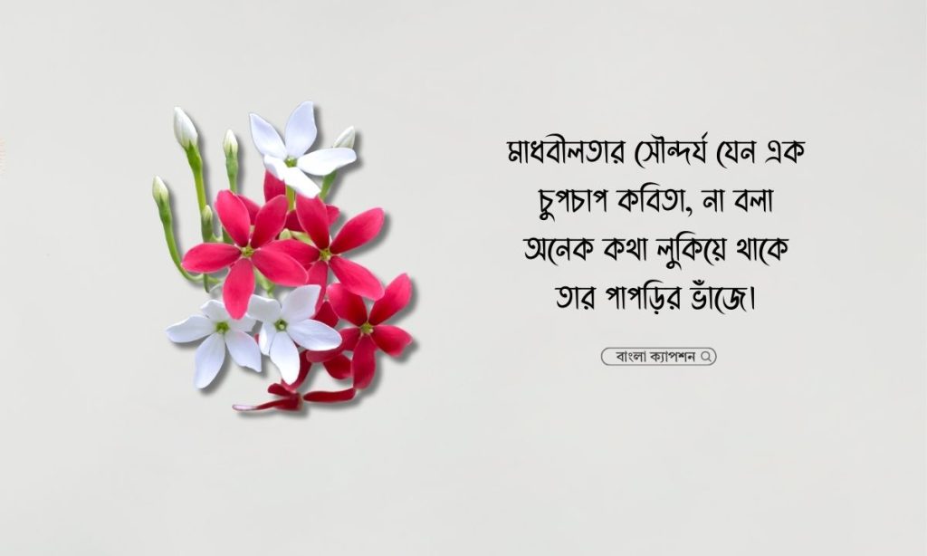 মাধবীলতা ফুল নিয়ে ক্যাপশন, স্ট্যাটাস, উক্তি ও কবিতা, মানসিক শান্তি