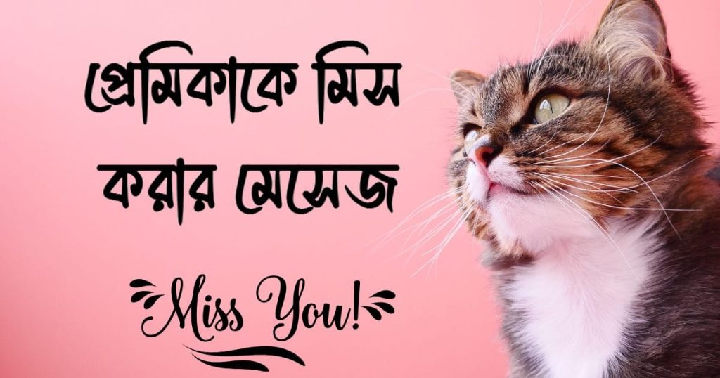 মিস ইউ জান! প্রেমিকাকে মিস করার মেসেজ ও স্ট্যাটাস ২০২৫, sundor caption bangla