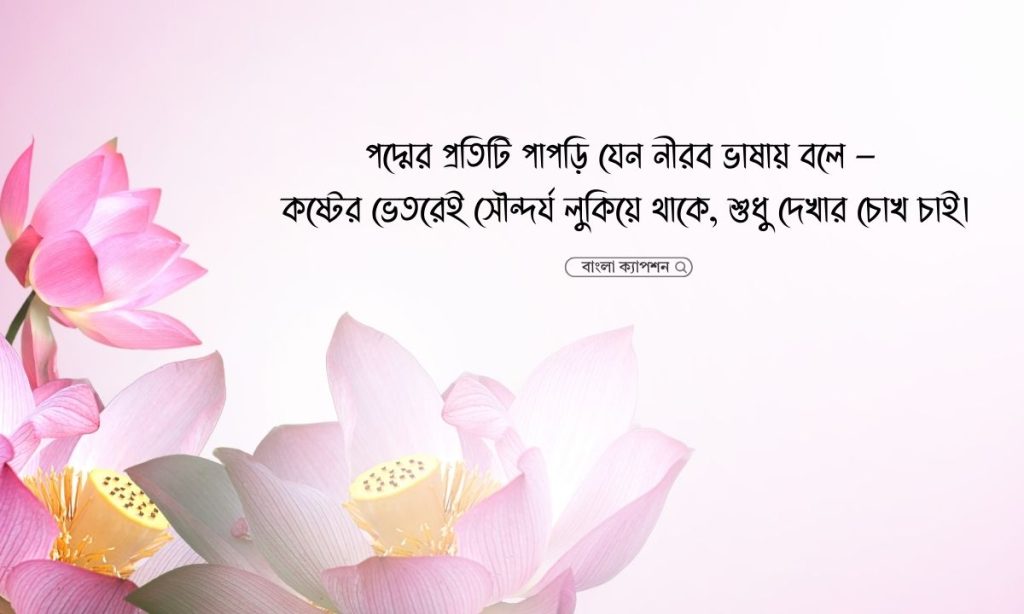 পদ্ম ফুল নিয়ে ক্যাপশন, স্ট্যাটাস, উক্তি ও কবিতা, বাথরুমে প্রবেশ করার দোয়া
