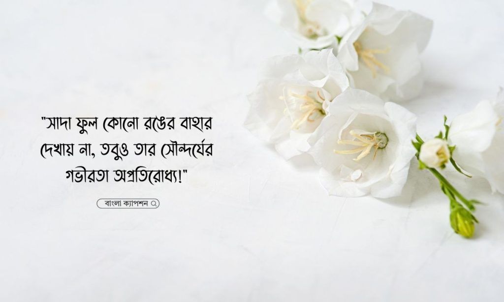 সাদা ফুল নিয়ে ক্যাপশন, স্ট্যাটাস, উক্তি ও কবিতা, নিশি রাতের প্রেমের কবিতা