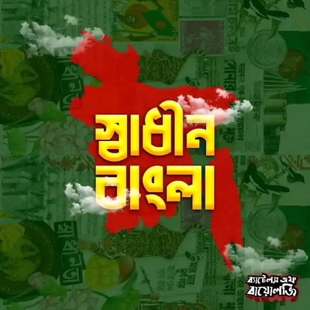 স্বাধীন প্রোফাইল পিক – স্বাধীন পিকচার – স্বাধীন বাংলাদেশ ছবি ডাউনলোড, nijeke niye caption english