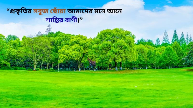 সবুজ প্রকৃতি নিয়ে ক্যাপশন – সবুজ প্রকৃতি নিয়ে ছন্দ, উক্তি ও কবিতা, মৃত্যু নিয়ে উক্তি