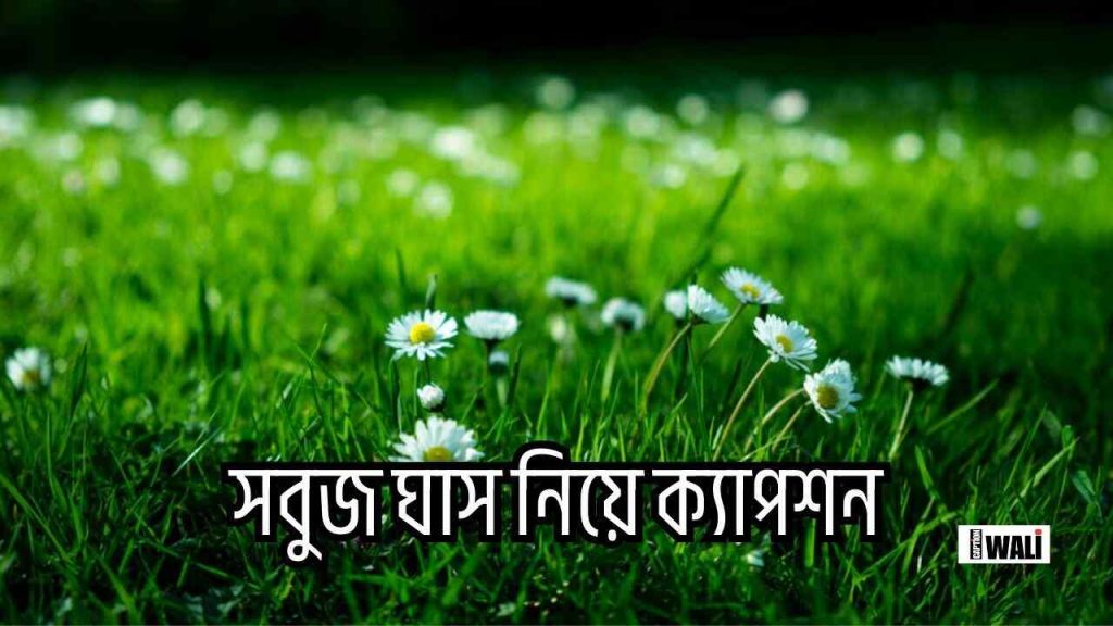 সেরা ৫৮+ সবুজ ঘাস নিয়ে ক্যাপশন ও স্ট্যাটাস ২০২৬, good morning bengali caption
