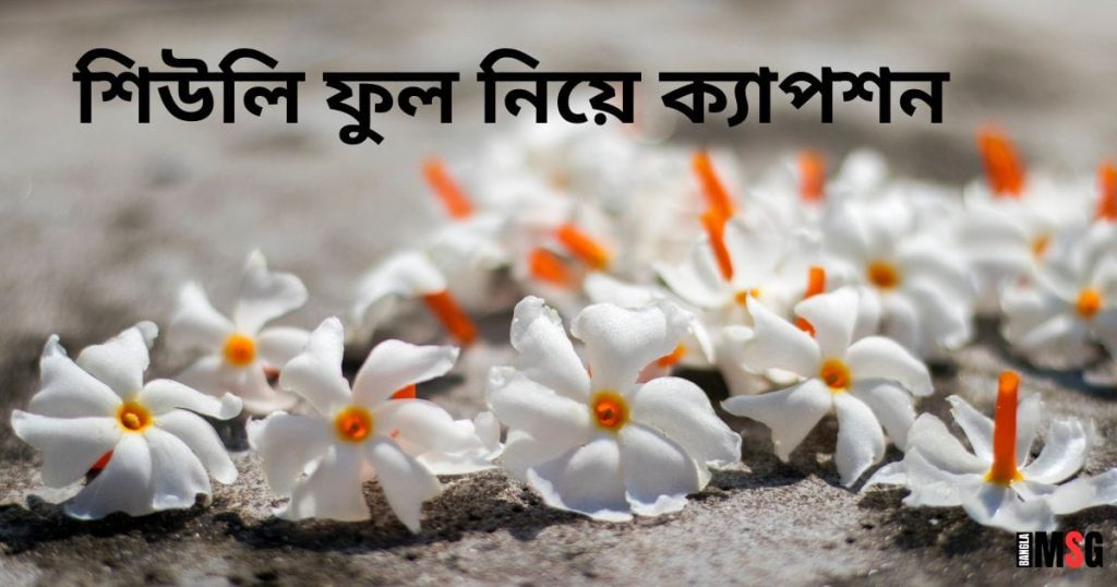 শিউলি ফুল নিয়ে ক্যাপশন: শিউলি ফুল নিয়ে ক্যাপশন বাংলা, স্ত্রী স্বামী