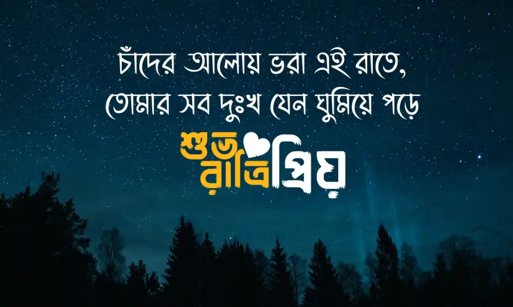 শুভ রাত্রি শুভেচ্ছা ২০২৬: ১০০+ বাছাই করা রোমান্টিক গুড নাইট মেসেজ, স্বপ্ন নিয়ে ক্যাপশন