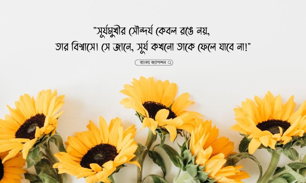 সূর্যমুখী ফুল নিয়ে ক্যাপশন, স্ট্যাটাস, উক্তি ও কবিতা ২০২৬, হাসি খুশি নিয়ে ক্যাপশন