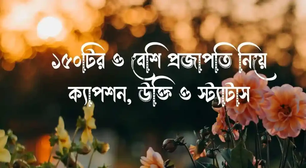 ১৫০+ প্রজাপতি নিয়ে ক্যাপশন, উক্তি ও স্ট্যাটাস, sigma meaning in bengali