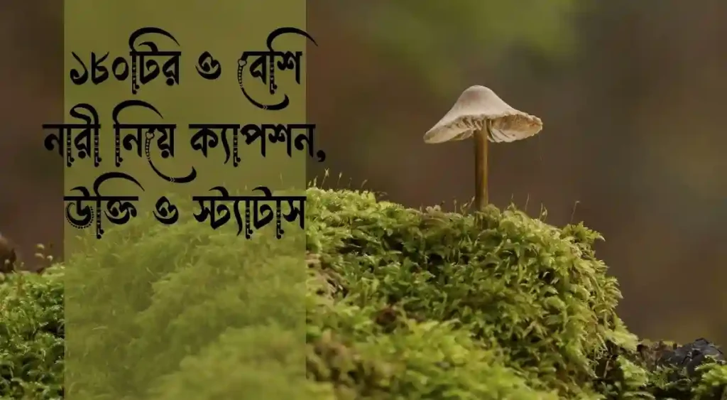১৮০+ নারী নিয়ে ক্যাপশন, উক্তি ও স্ট্যাটাস, স্মৃতি নিয়ে উক্তি