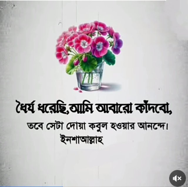199+ ইমোশনাল ইসলামিক স্ট্যাটাস বাংলা ২০২৬, মেয়ের জন্মদিনের ইসলামিক শুভেচ্ছা স্ট্যাটাস