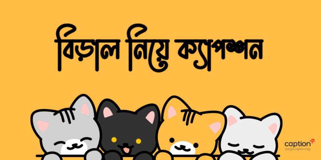 ২৫০+ বিড়াল নিয়ে ক্যাপশন, উক্তি ও ইসলামিক স্ট্যাটাস ২০২৬, শুভ সন্ধ্যা মেসেজ