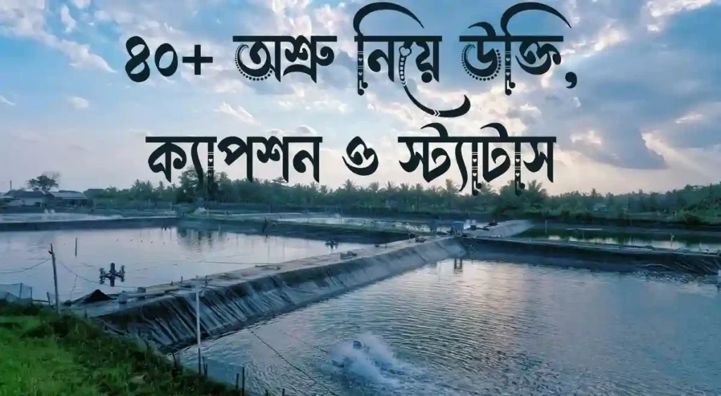 ৪০+ অশ্রু নিয়ে উক্তি, ক্যাপশন ও স্ট্যাটাস, tik tok bio