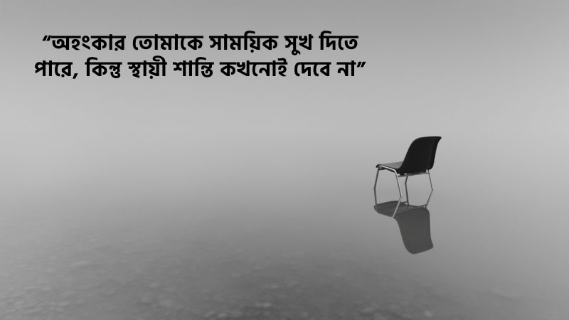 ৫০+ অহংকার নিয়ে উক্তি ও অহংকার পতনের মূল উক্তি দেখুন, মিষ্টি হাসি নিয়ে ক্যাপশন