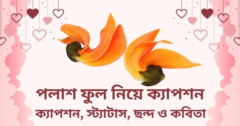 ৫০+ পলাশ ফুল নিয়ে ক্যাপশন, স্ট্যাটাস ও কবিতা, আল্লাহর প্রশংসা করার স্ট্যাটাস