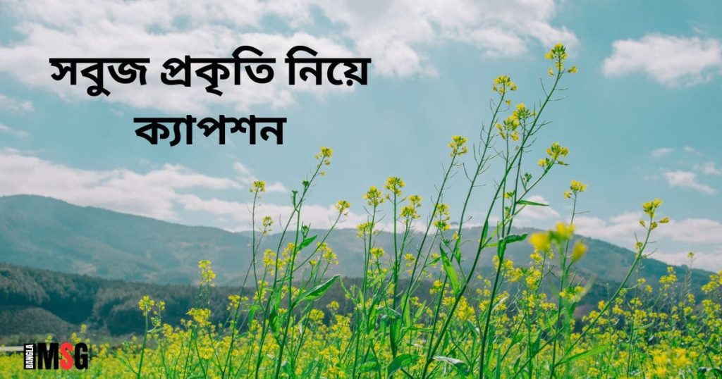 ৫০০+ প্রকৃতি নিয়ে ক্যাপশন: প্রকৃতি নিয়ে শর্ট ক্যাপশন ২০২৬, প্রোফাইল পিক ছেলেদের