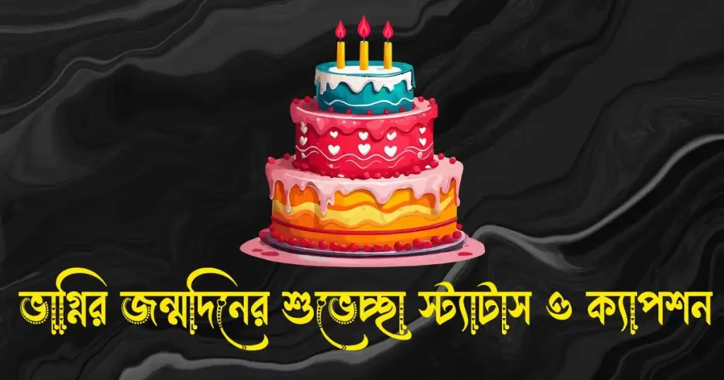 ভাগ্নির জন্মদিনের শুভেচ্ছা স্ট্যাটাস, ক্যাপশন ও কবিতা, মাকে মিস করা নিয়ে স্ট্যাটাস