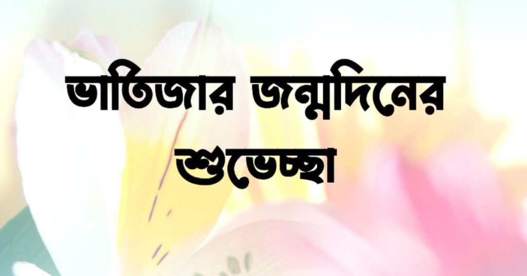 ভাতিজার জন্মদিনের শুভেচ্ছা SMS: ভাইপোর জন্মদিনের শুভেচ্ছা স্ট্যাটাস ২০২৬, শুভ বিকেল
