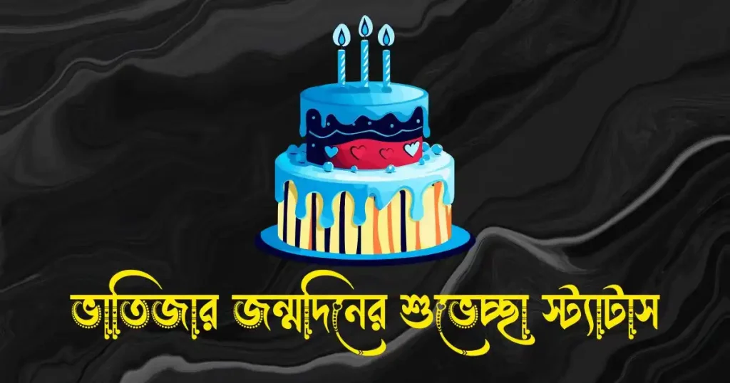 ভাতিজার জন্মদিনের শুভেচ্ছা স্ট্যাটাস ও ক্যাপশন, fb caption