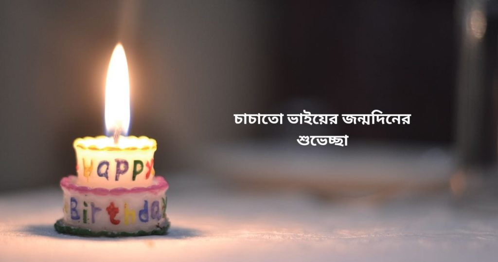 চাচাতো ভাইয়ের জন্মদিনের শুভেচ্ছা: ফানি ও মিষ্টি শুভেচ্ছা, পরিবারের সাথে সময় কাটানো নিয়ে স্ট্যাটাস