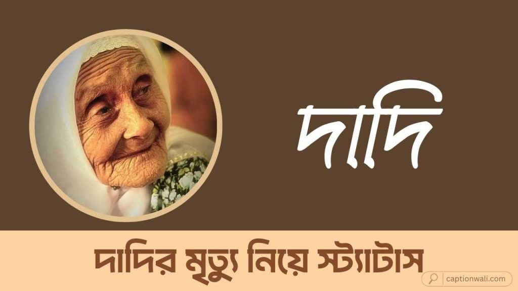 দাদির মৃত্যু নিয়ে স্ট্যাটাস, উক্তি ও ক্যাপশন ৪৪টি, বাংলা টু ইংরেজি