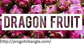 ড্রাগন ফলের পুষ্টিগুণ ও উপকারিতা, ঈদ মোবারক লেখা ডিজাইন