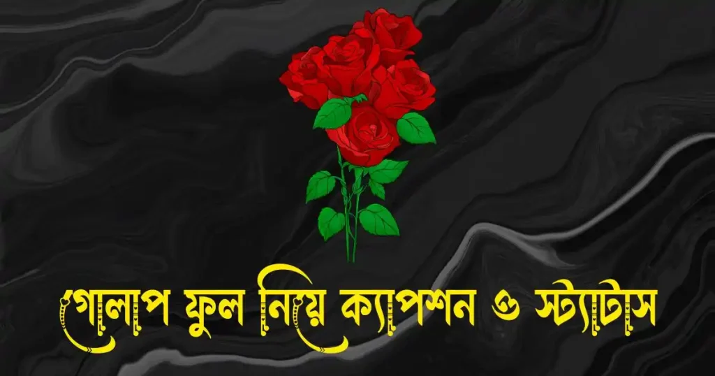 গোলাপ ফুল নিয়ে ক্যাপশন, স্ট্যাটাস, ছন্দ ও কিছু কথা, রাতে বাচ্চা কান্না করলে কোন সূরা পড়তে হয়