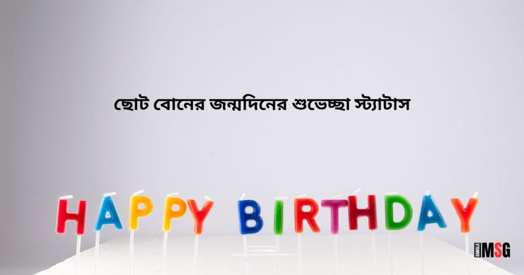 Happy Birthday ছোট বোন! ছোট বোনের জন্মদিনের শুভেচ্ছা স্ট্যাটাস ২০২৬, ফেসবুক স্ট্যাটাস ক্যাপশন
