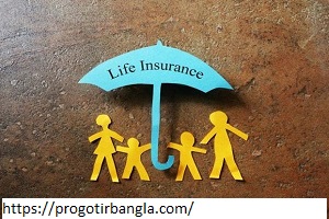 জেনে নিন, জীবন বীমা পরিকল্পনা সুবিধা কী ও বীমা পলিসির ধরন, উপন্যাস ক্যাপশন
