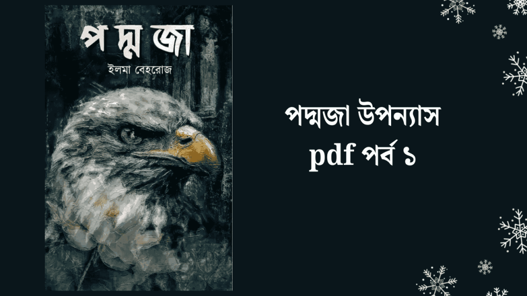 জনপ্রিয় পদ্মজা উপন্যাস PDF পর্ব ১ – ইলমা বেহরোজ 2026, ধাঁধা উত্তর সহ ছবি