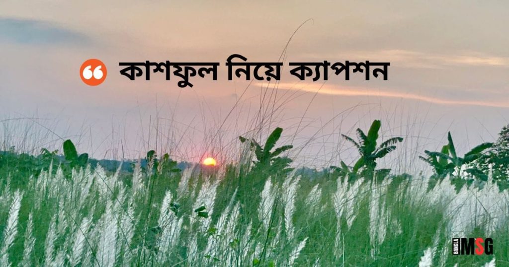 কাশফুল নিয়ে ক্যাপশন, প্রেমের কবিতা, ও রোমান্টিক ছন্দ, অবহেলার কষ্টের স্ট্যাটাস