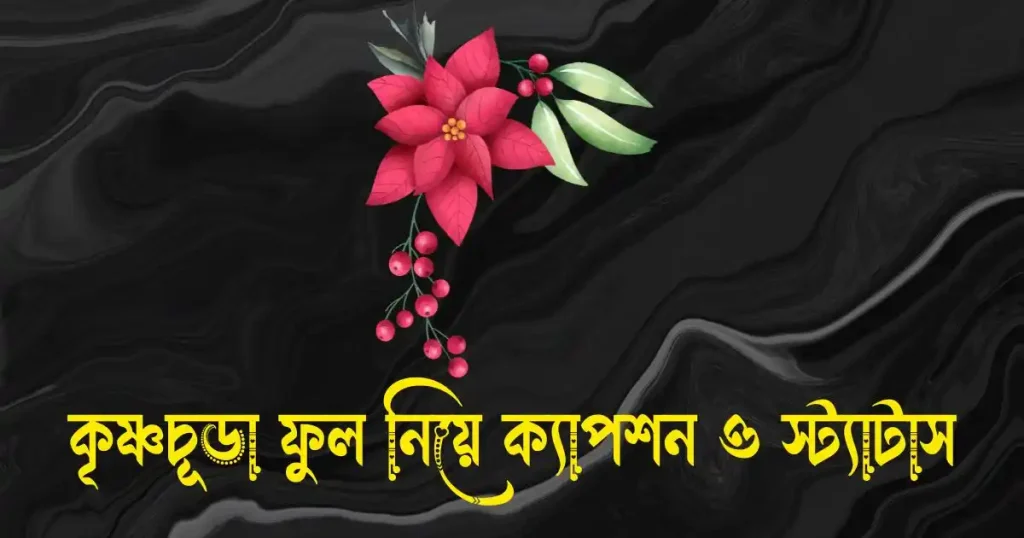কৃষ্ণচূড়া ফুল নিয়ে ক্যাপশন, স্ট্যাটাস, উক্তি, ছন্দ ও কিছু কথা, ভালোবাসা নিয়ে উক্তি