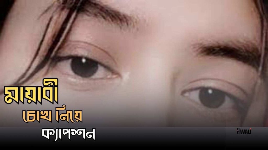 মায়াবী চোখ নিয়ে ক্যাপশন, স্ট্যাটাস ও উক্তি, ইসলামিক বিবাহ বার্ষিকী শুভেচ্ছা