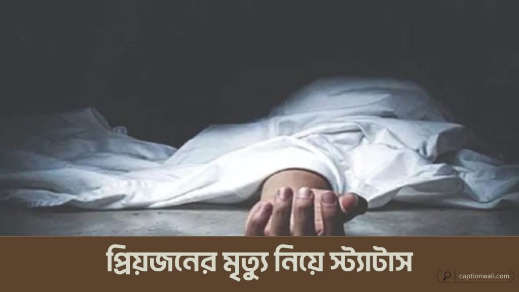 প্রিয়জনের মৃত্যু নিয়ে স্ট্যাটাস, উক্তি ও ক্যাপশন ৭০টি+, profile caption