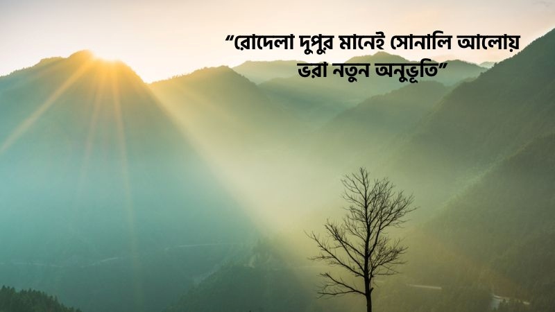 রোদেলা দুপুর নিয়ে ক্যাপশন – ২০০+ দুপুর নিয়ে ক্যাপশন ও কবিতা, শুভ সন্ধ্যা রোমান্টিক মেসেজ
