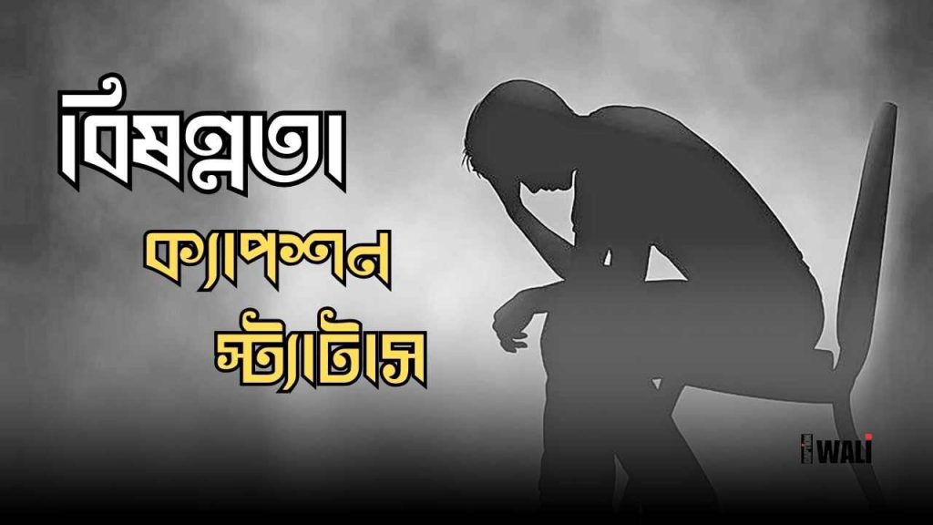 সেরা বিষণ্নতা ও কষ্টের স্ট্যাটাস ২০২৬, অগ্রিম ঈদ মোবারক