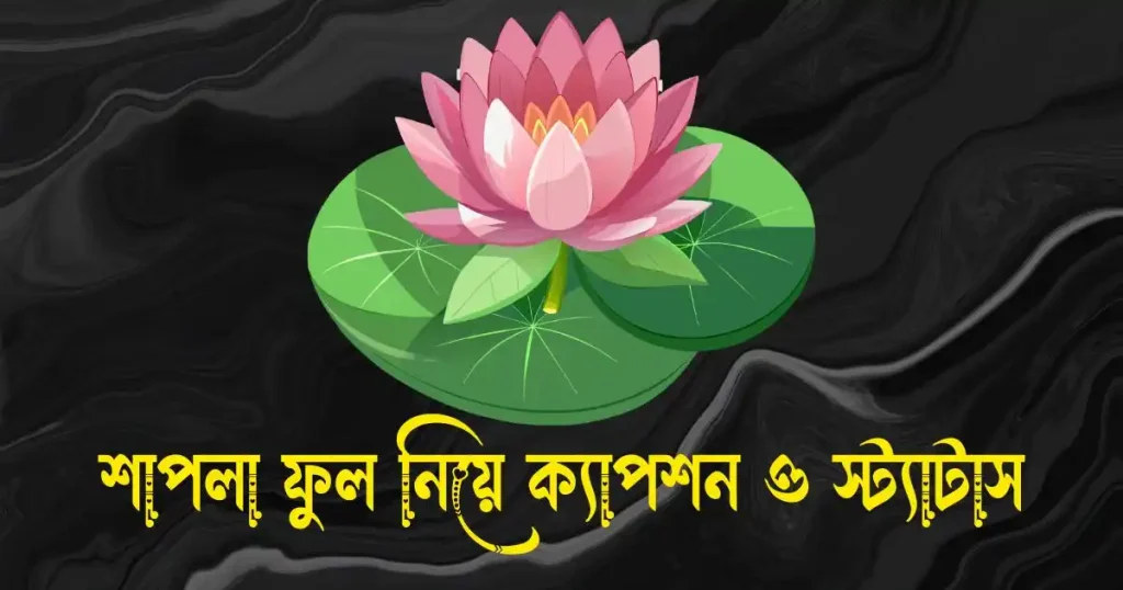 শাপলা ফুল নিয়ে ক্যাপশন, স্ট্যাটাস, উক্তি, ছন্দ ও কবিতা, ভ্রমণ নিয়ে ক্যাপশন