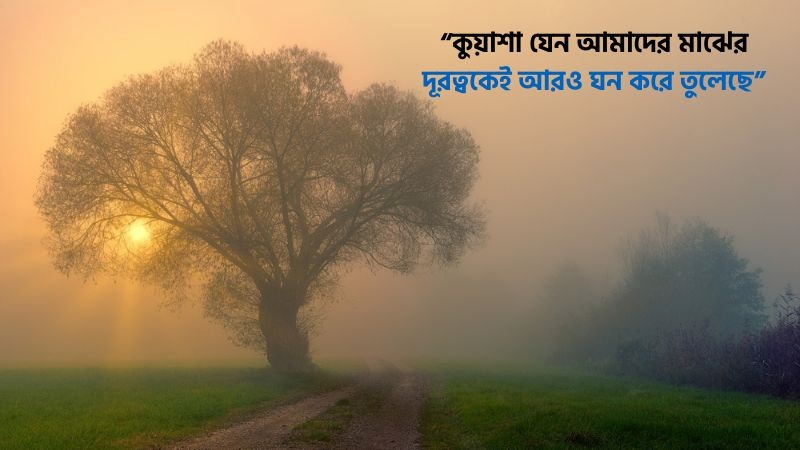 শীতের কুয়াশা নিয়ে ভালোবাসার ক্যাপশন, ইসলামিক স্ট্যাটাস ও কবিতা দেখুন ২০২৬, bengali love caption