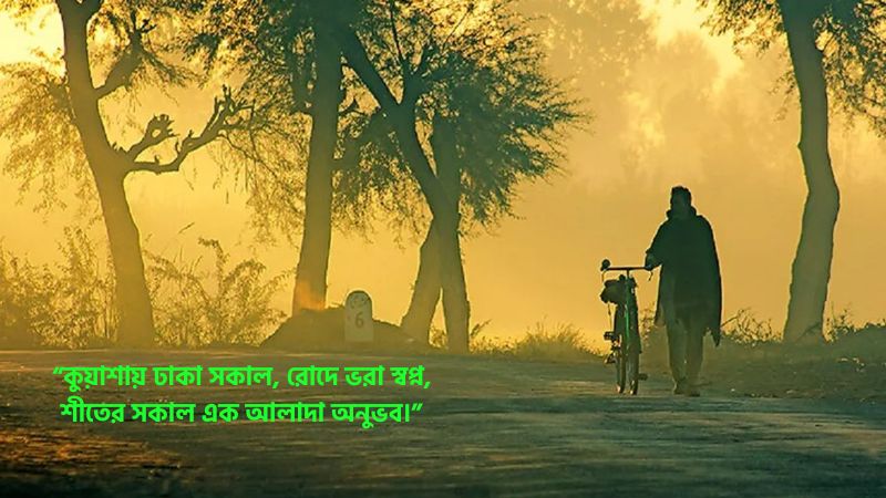 শীতের সকাল নিয়ে ক্যাপশন, ভালোবাসার স্ট্যাটাস, উক্তি ও কবিতা 2026, ভালোবাসা নিয়ে উক্তি