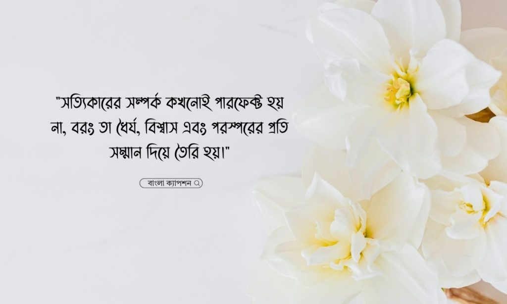 সম্পর্ক নিয়ে উক্তি: সম্পর্ক নিয়ে ১০০+ স্ট্যাটাস, দায়িত্ব নিয়ে উক্তি