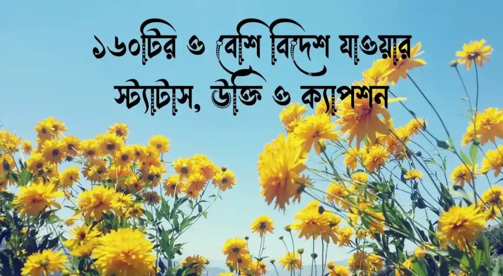 ১৬০+ বিদেশ যাওয়ার স্ট্যাটাস, উক্তি ও ক্যাপশন, সুন্দর মুহূর্ত নিয়ে কিছু কথা
